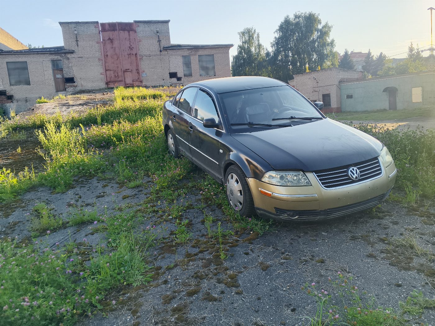 Volkswagen Passat, 2001