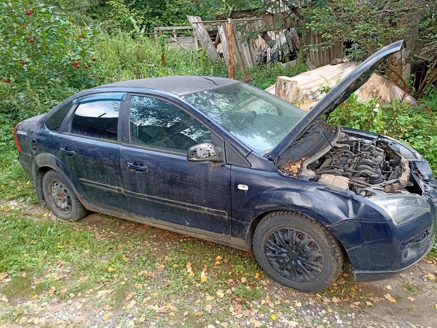 Ford Focus, 2006